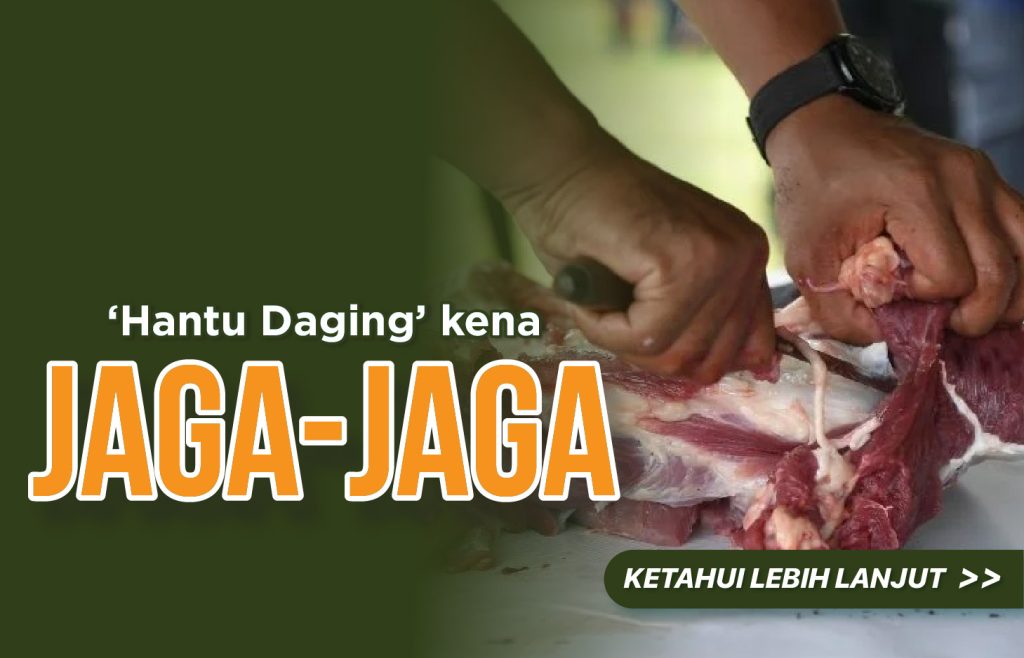 Hantu Daging