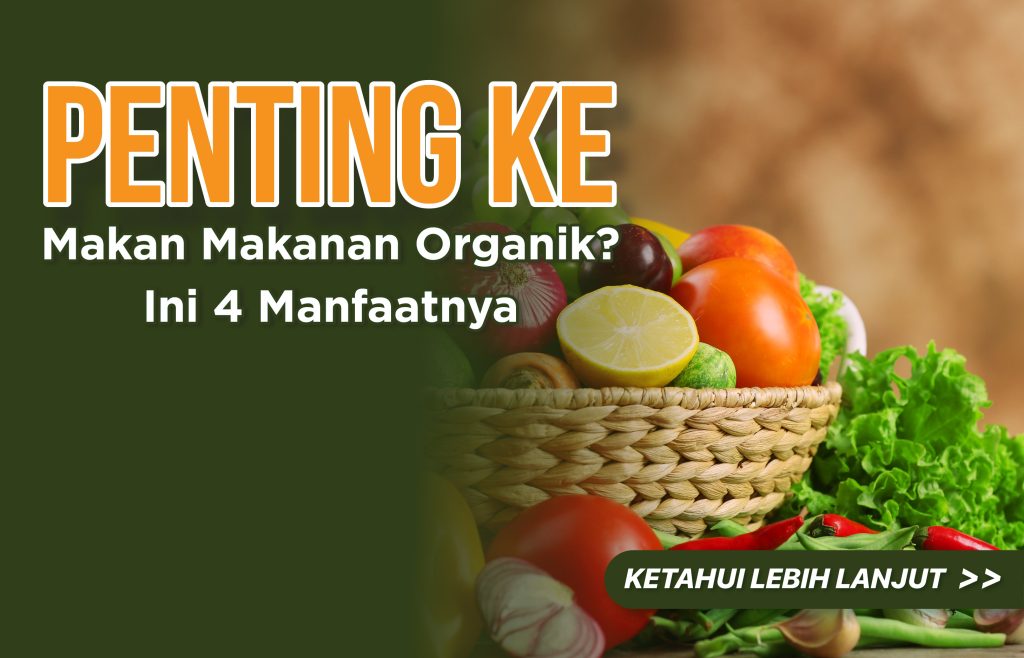 makanan organik