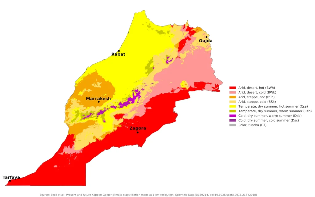 iklim di morocco pokok zaitun