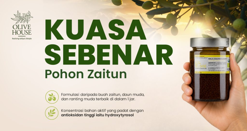 Buah, daun dan ranting muda zaitun dalam formulasi Olivie Power Up yang kaya dengan Hydroxytyrosol dan polifenol.